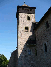 356 Věž hradu Litice